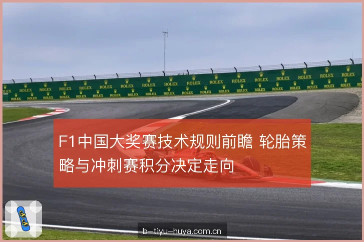 F1中国大奖赛技术规则前瞻 轮胎策略与冲刺赛积分决定走向